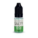 Salty Menthe Chloro 10ml - Χονδρική